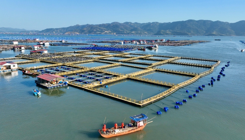 俄羅斯海運(yùn)