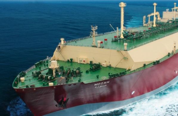 中國的海運業發展迅速，國內海運公司也紛紛嶄露頭角