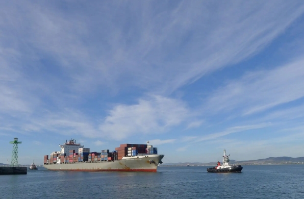 國內海運公司在全球化時代具有重要的地位和作用，面臨著挑戰和機遇