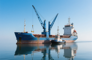 國際物流貨運：農產品進口的定制化專家